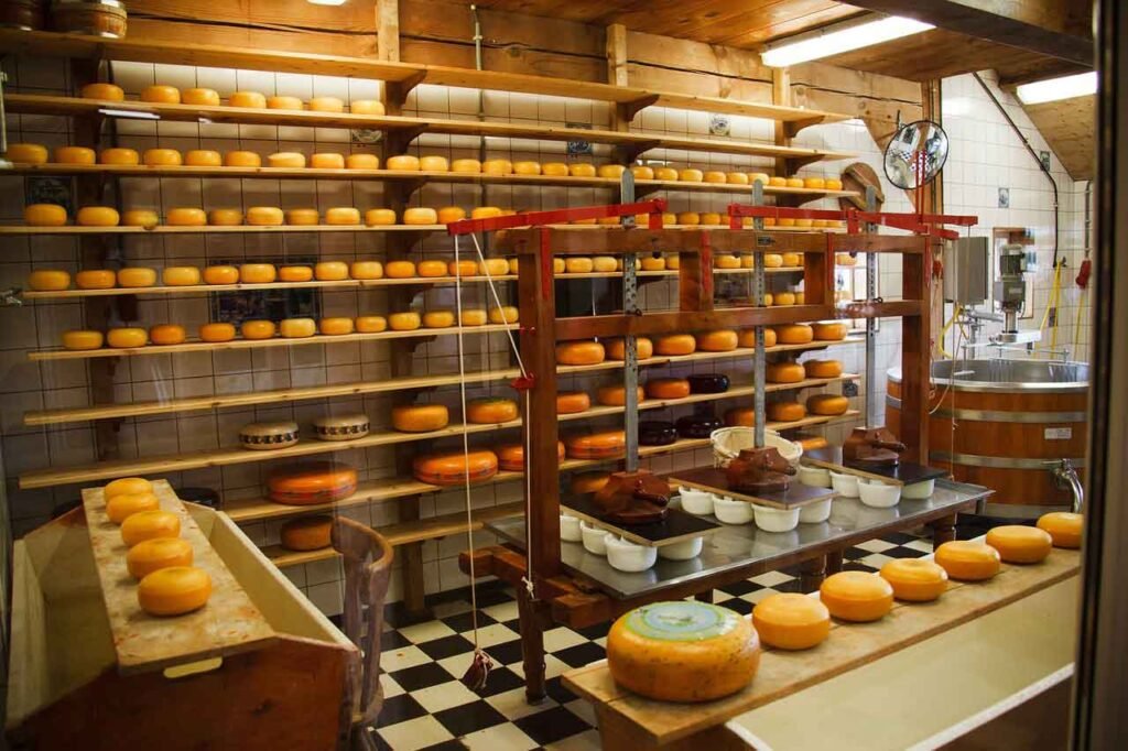 hidden gems in Switzerland : Cheese Factory