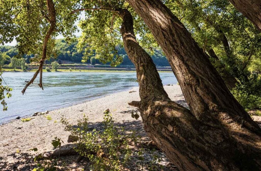 Day Trips from Zurich:Switzerland Stein am Rhein