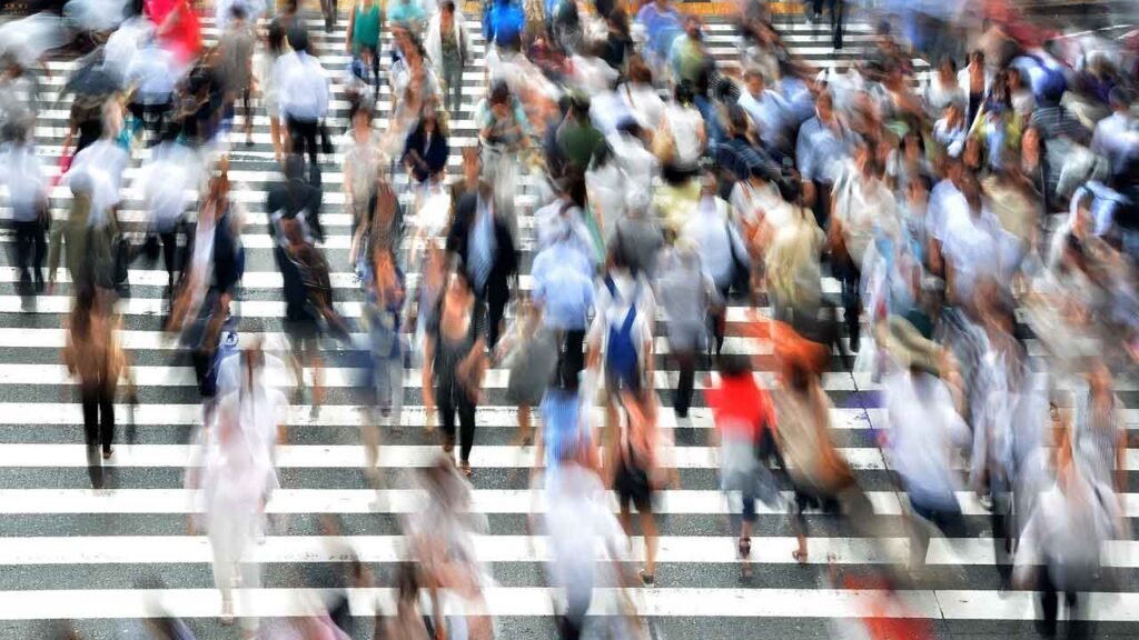 Things to know: road crossing