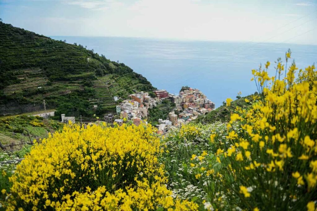 Cinque Terre: Spring