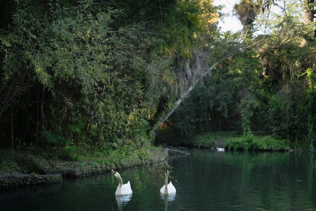 hidden gems in Switzerland: National park
