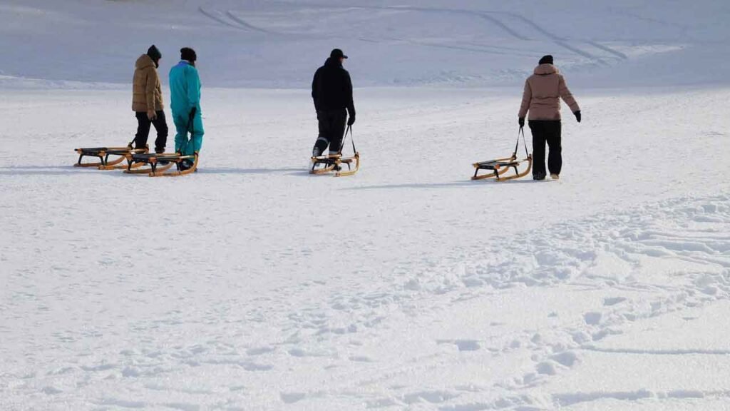 Grindelwald Switzerland sledging