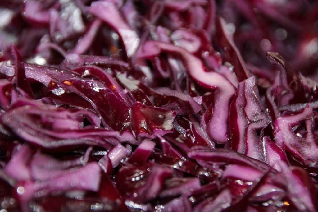 Oktoberfest Munich, Germany red cabbage